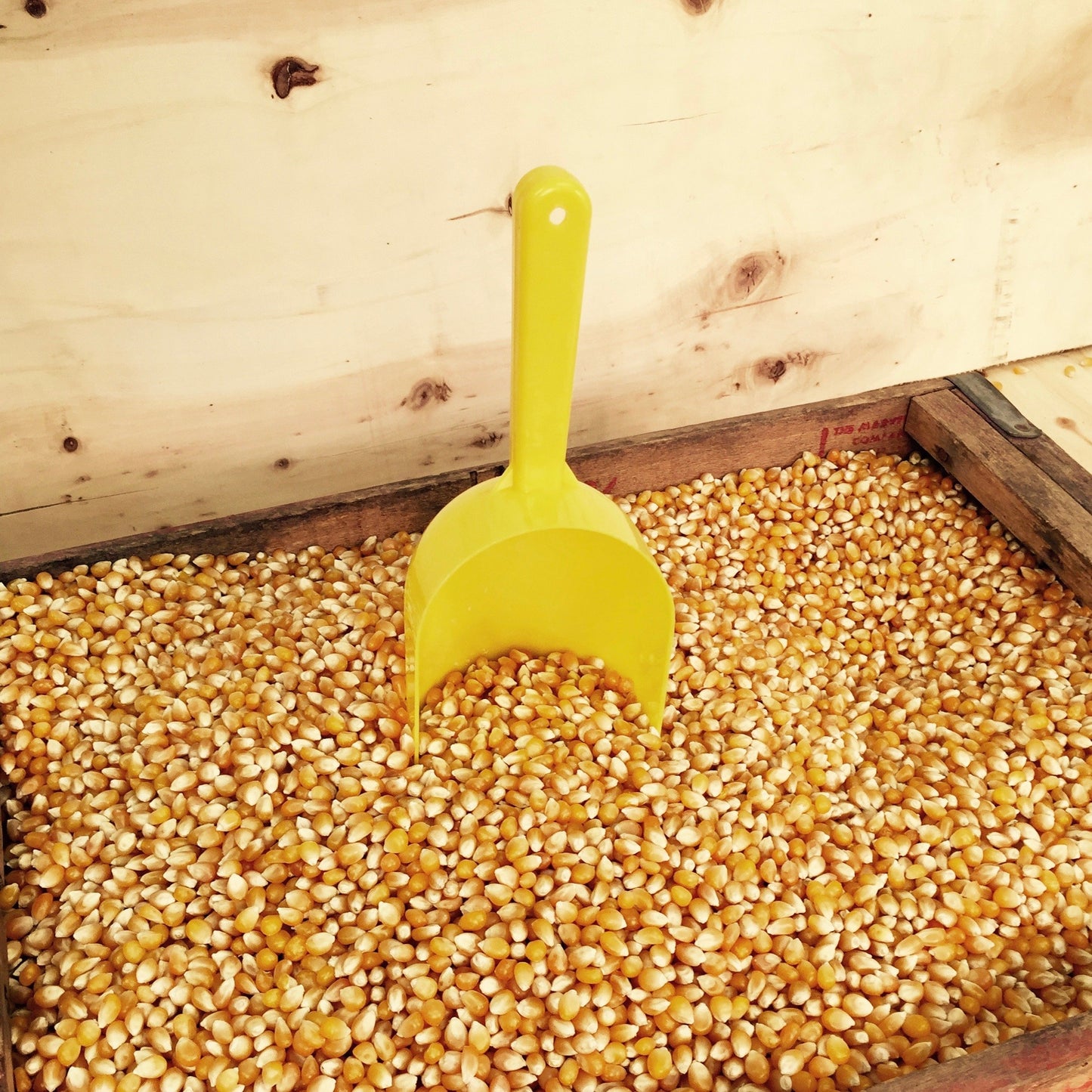 Paragon Bulk Bag Yellow Popcorn (12.5-Pounds)
