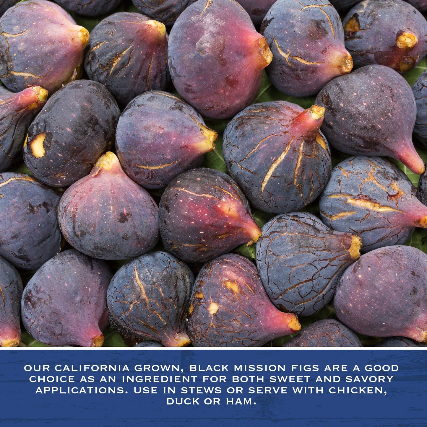 Traina Dried Whole Black Mission Figs - No Added Sugar, Vegan, Gluten Free - 2 lbs Resealable Pouch