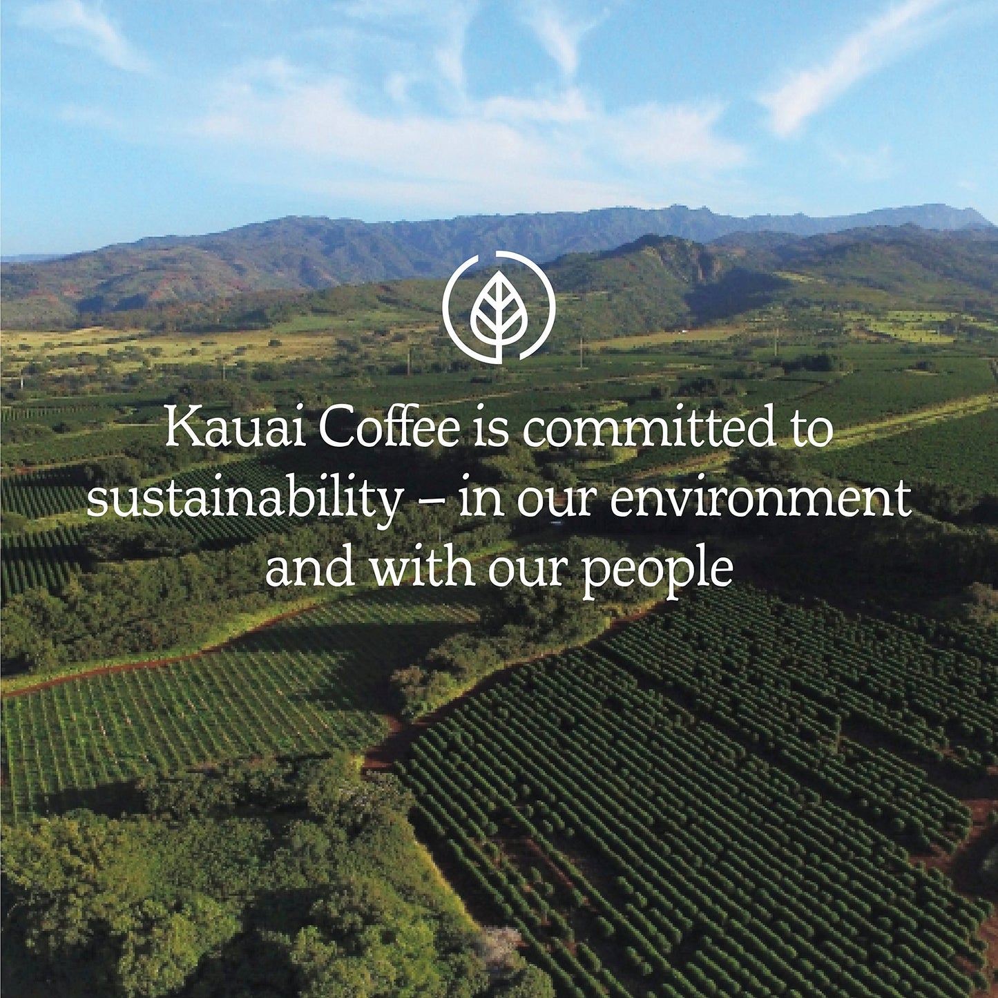 Kauai Coffee Koloa Estate Dark Roast - Whole Bean Coffee, 10 Oz Package