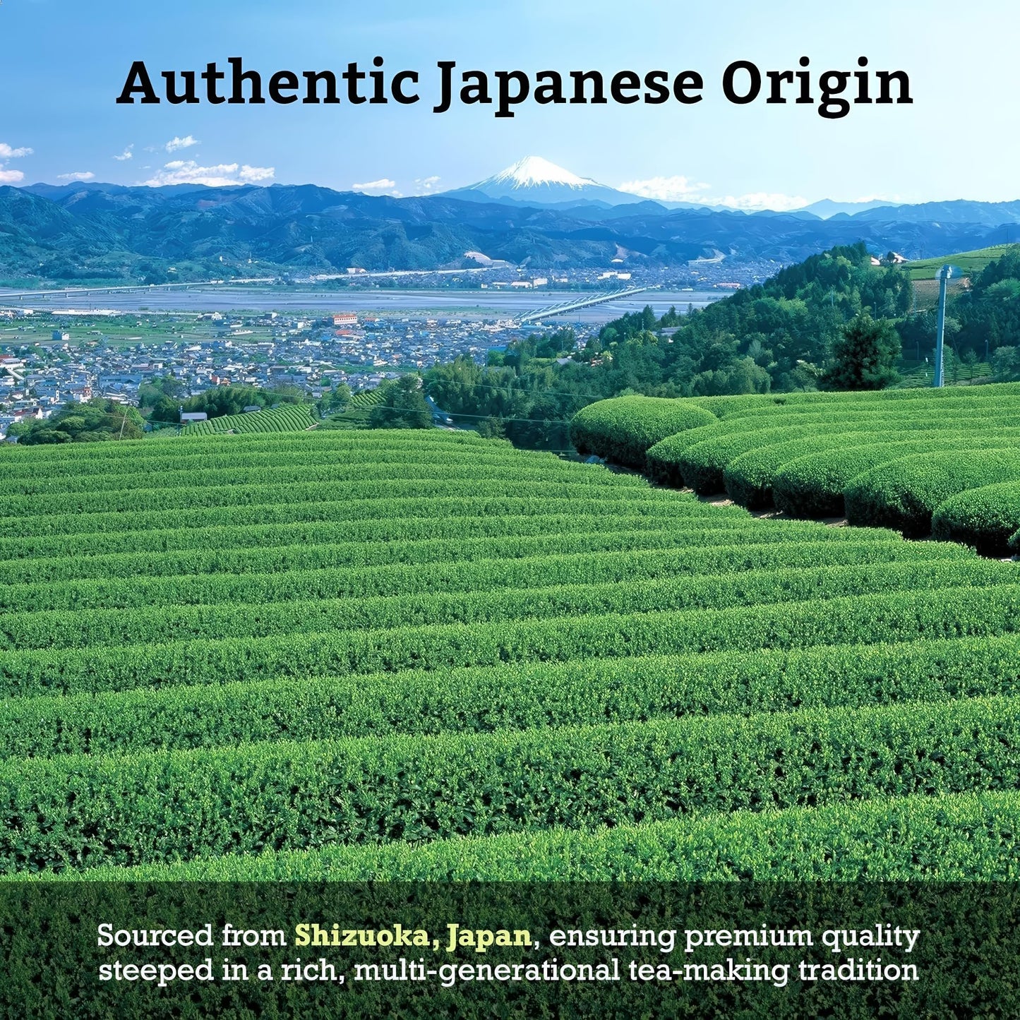 Sugimoto Tea Japanese Matcha Genmaicha Green Tea Loose Leaf 1.0 Lb (454 G) Pack Of 1