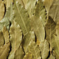 Spice Classics Whole Bay Leaves, 8 oz - One 8 Ounce Container of Bulk Bay Leaves for Cooking, Great in Soups, Seafood Dishes, Me