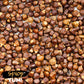Spicy Yum! Grains Of Paradise - Whole Alligator Pepper (Atare, Guinea, Melegueta Pepper) (Whole (3 Oz. Glass Jar))