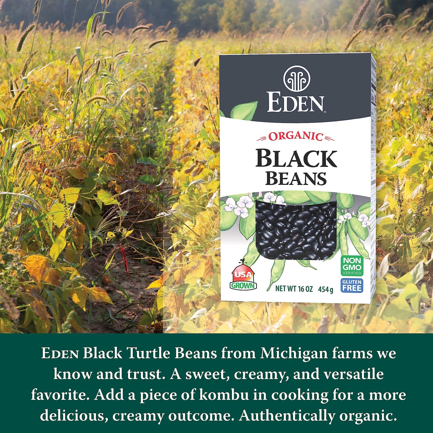 Eden Organic Dry Black Beans, 16 Oz Box (1 Lb), Non-Gmo, U.S Grown, Turtle Beans, Frijol Negro, Caviar Criollo