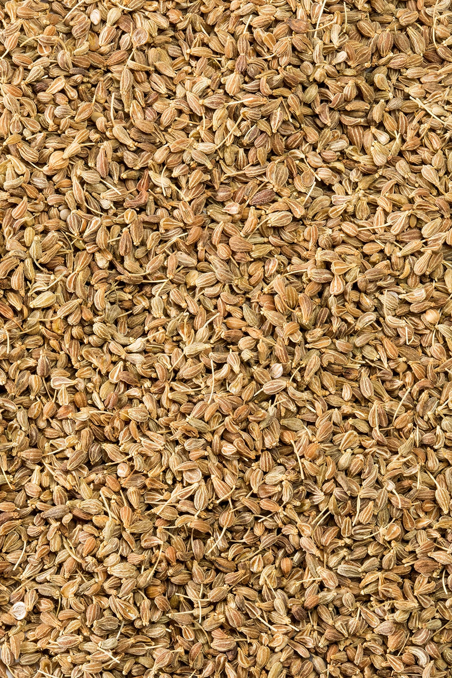 McCormick Gourmet Organic Anise Seed, 1.37 oz, Pack of 1