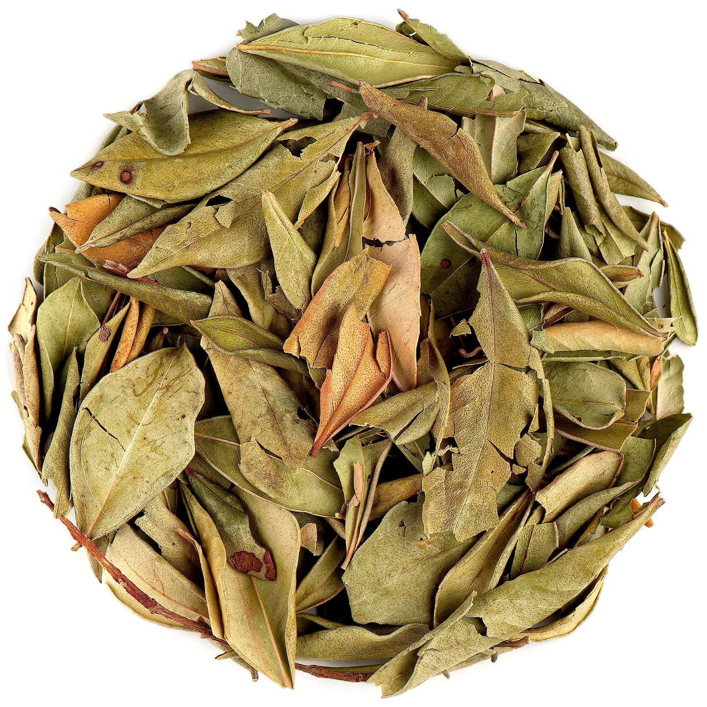 Myrtle Dried Herb Leaf - Loose Leaves From Common Myrtle Myrtus Communis Myrtle Dry Leaf Myrtle Leaf Myrtle Dry Leaves Myrtle Le