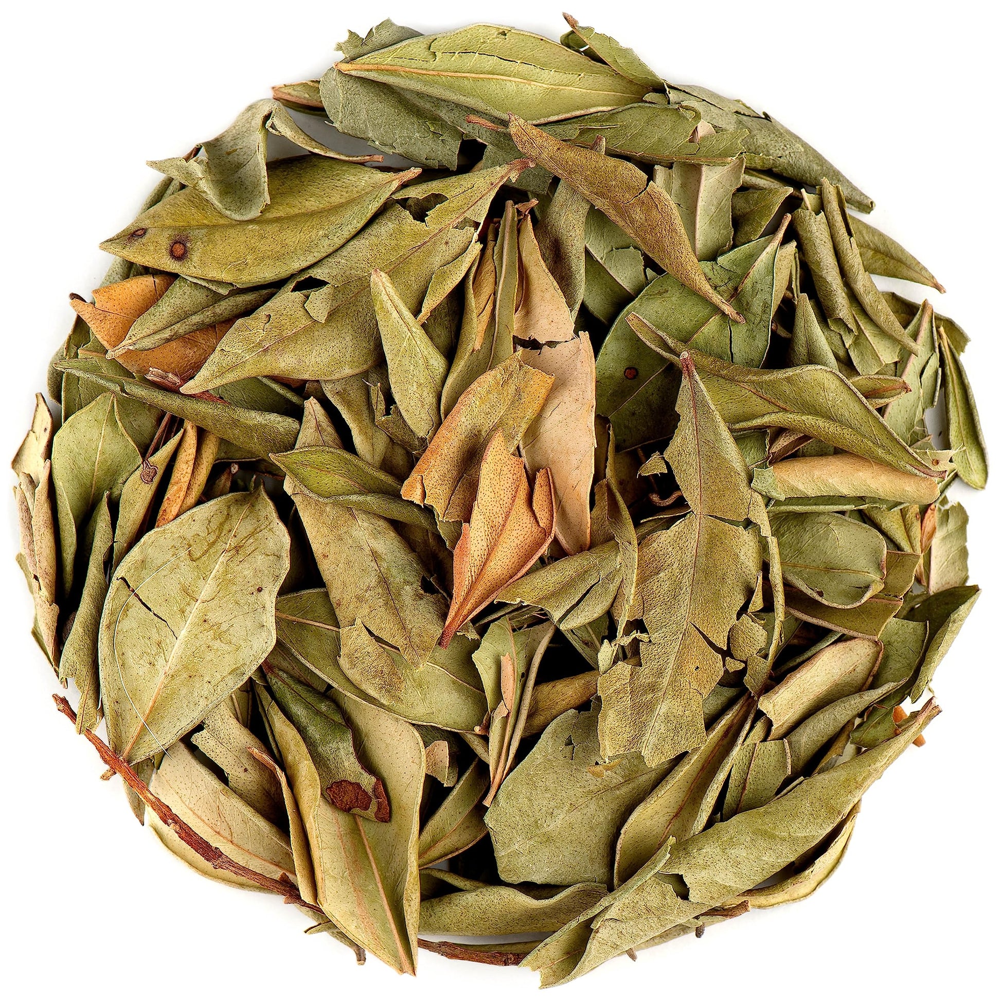 Myrtle Dried Herb Leaf - Loose Leaves From Common Myrtle Myrtus Communis Myrtle Dry Leaf Myrtle Leaf Myrtle Dry Leaves Myrtle Le