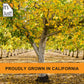 It'S Just - Raw Walnuts, Premium Quality, California Grown, Made In Usa, 20Oz (1.25Lb), Unsalted, Halves & Pieces