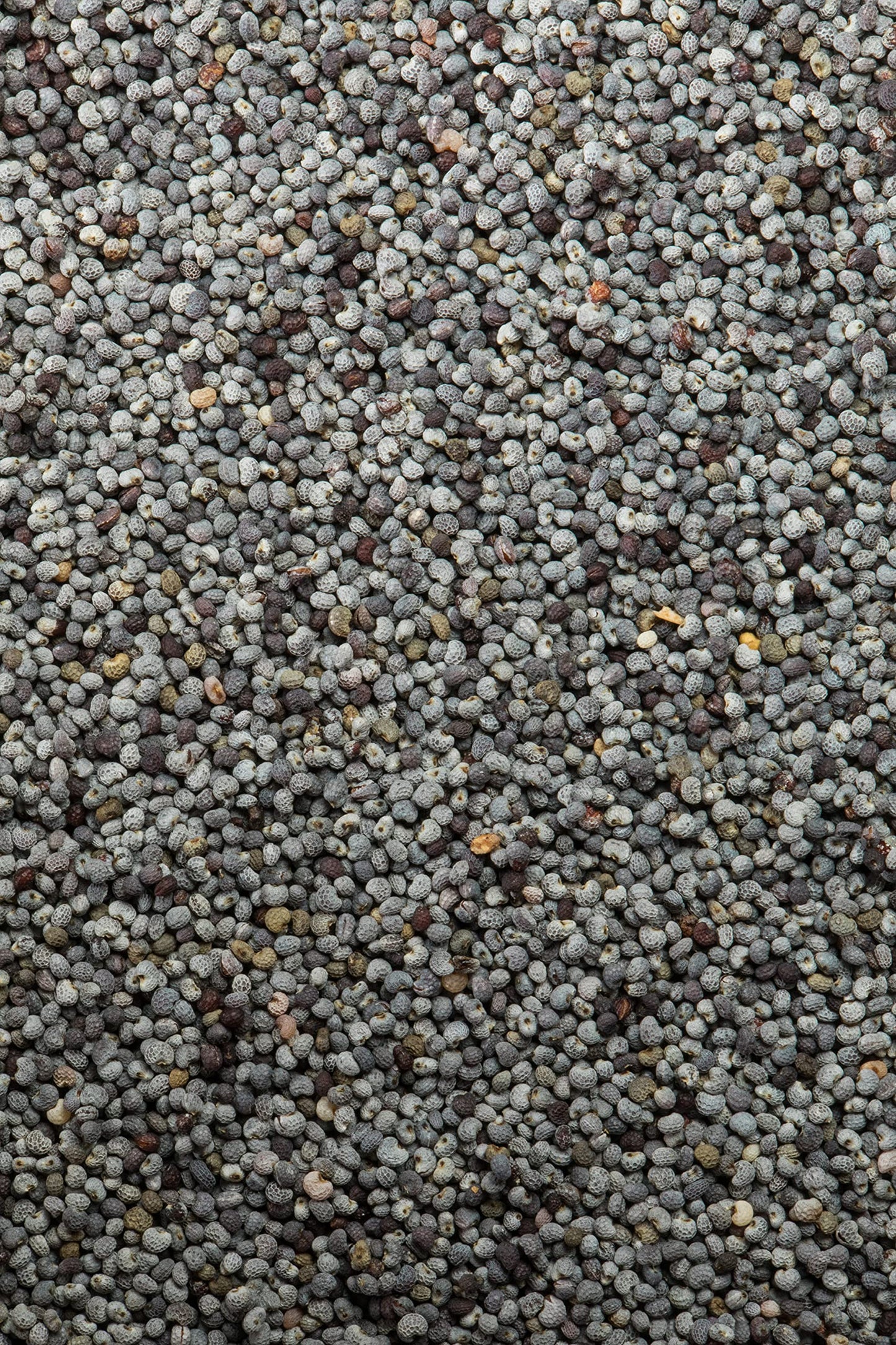McCormick Gourmet Organic Poppy Seed, 2.12 Oz (Pack of 2)