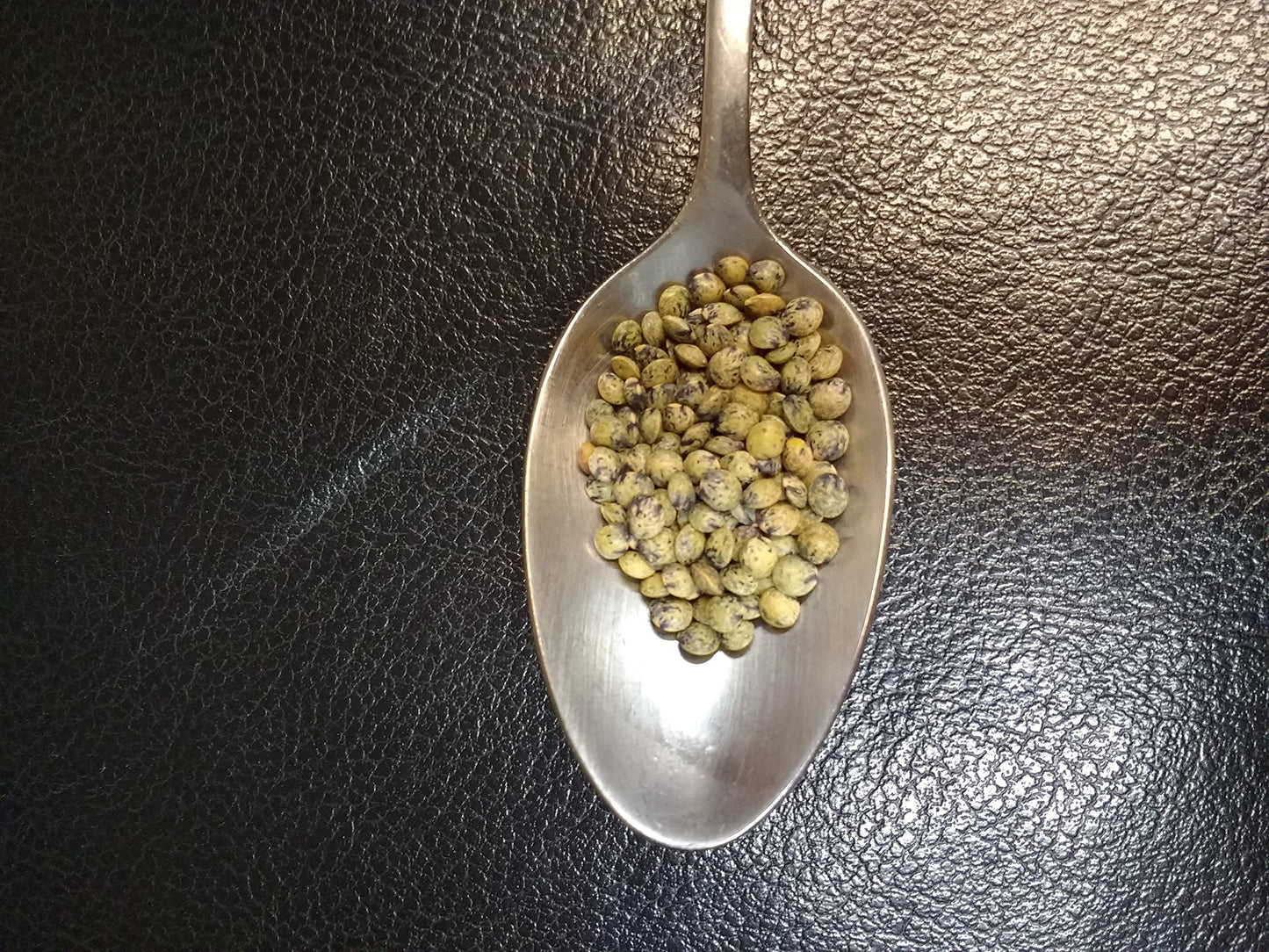 French Green Lentils 5 Pounds Petite, Usda Certified Organic, Non-Gmo Bulk, Product Of Usa, Mulberry Lane Farms