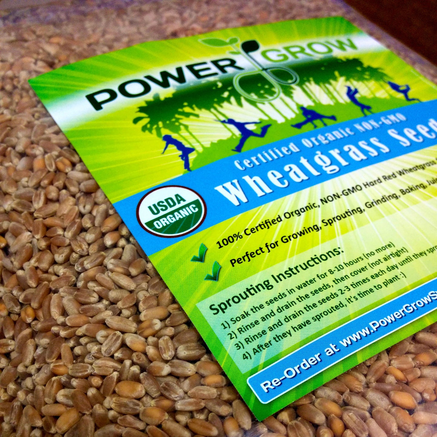 Hard Red Wheat - 1 Lbs - Excellent For Growing Wheatgrass to Juice, Food Storage, Grinding to Make Flour & Bread, Grain, Ornamen