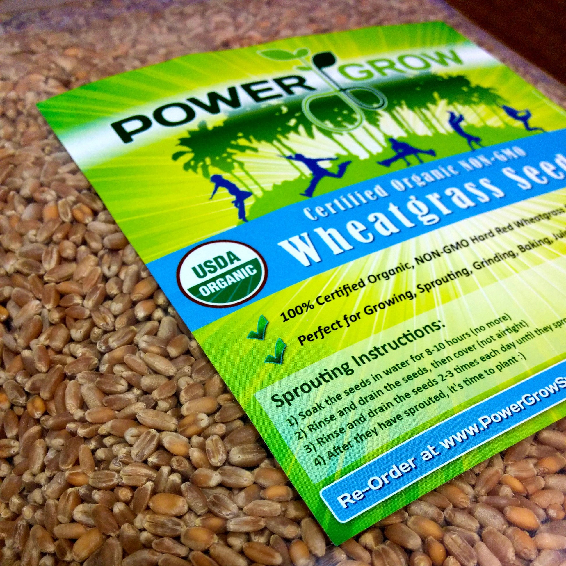 Hard Red Wheat - 1 Lbs - Excellent For Growing Wheatgrass to Juice, Food Storage, Grinding to Make Flour & Bread, Grain, Ornamen