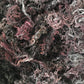 Purple Sea Moss | Irish Moss | Wildcrafted from St. Lucia | 100% Natural | Makes Over 100oz Seamoss Gel - 8oz