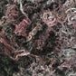 Reds Kitchen Sink Purple Sea Moss - 100% Natural & Raw, 8oz