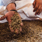 Blue Horse 100% Kona Coffee, Light Roast, Arabica Whole Beans, 1 lb (16 oz) Bag, Farm Fresh, Authentic Hawaiian Coffee from the