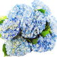 Kabloom Flowers - 15 Blue Hydrangeas (Farm-Fresh, Naturally Colored, Enhanced Quality) - Gift For Birthday, Sympathy, Anniversary, Get Well, Thank You, Valentine, Mother’S Day Fresh Flowers