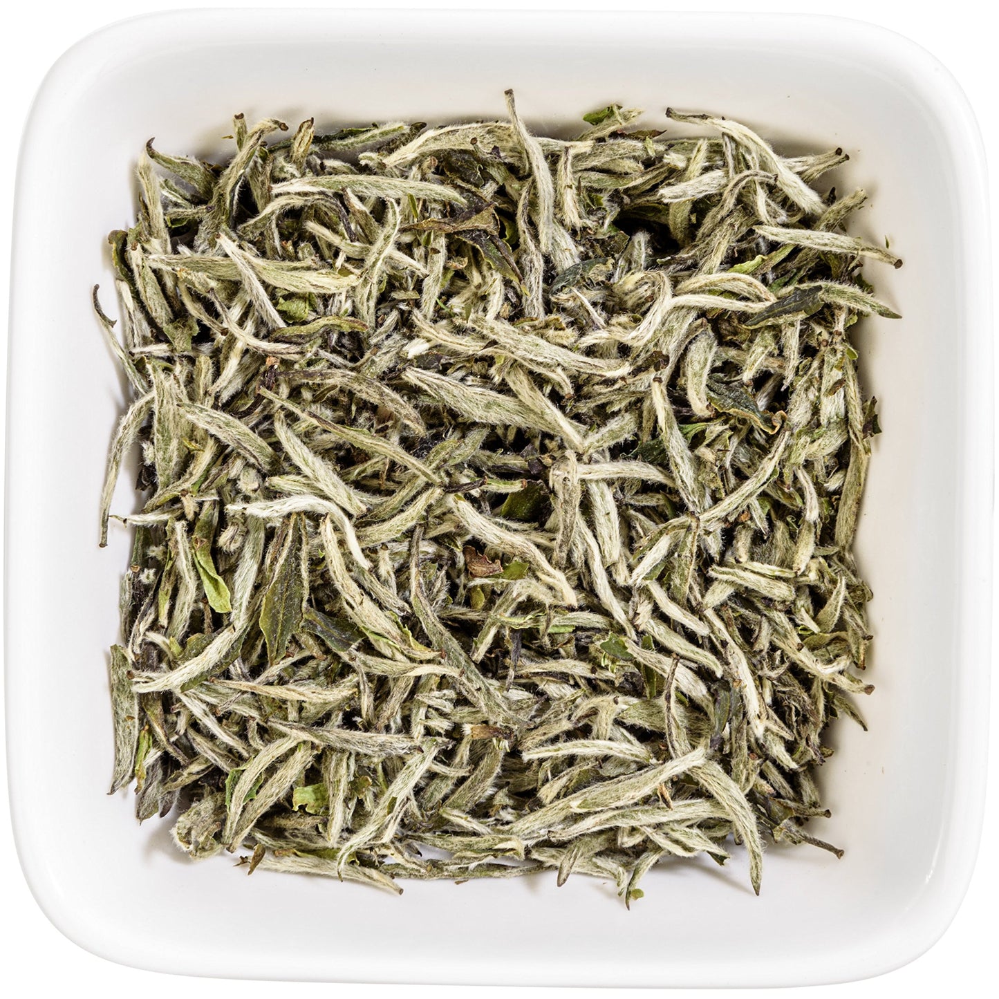 Tealyra Premium White Silver Needle Tea, Loose Leaf, Low Caffeine, 220g (8 oz)