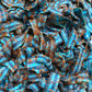 Lilys Chilies, Sour and Chili Chewy Candy (Chili Blueberry Belts)