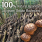 YAMASAN KYOTO UJI Japanese Shiitake Mushroom Umami Powder (40g) - Natural Umami Booster, 100% Japanese Ingredients, No Chemical