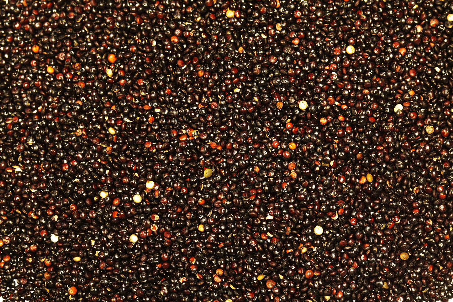 Yupik Organic Black Quinoa, 2.2 Lb, Non-Gmo, Vegan, Gluten-Free, Pack Of 1