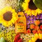 Local Hive Midwest Raw Unfiltered Honey 16Oz. 100% Us Honey Sourced From American Bees And Beekeepers.