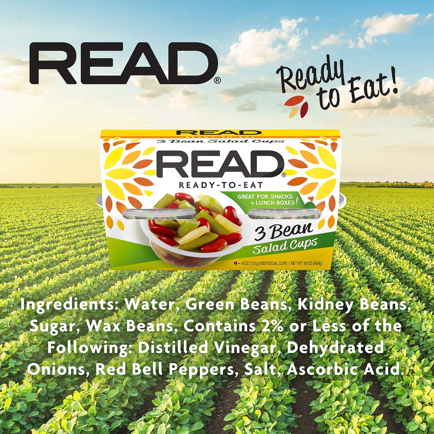 READ Three Bean Salad - Classic, Tangy & Sweet, 4 Ounce Cups, Pack of 24