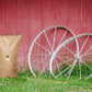 Amish Country Popcorn | 50 lb Bag | Baby White Popcorn Kernels | Old Fashioned, Non-GMO and Gluten Free (Baby White - 50 lb Bag)