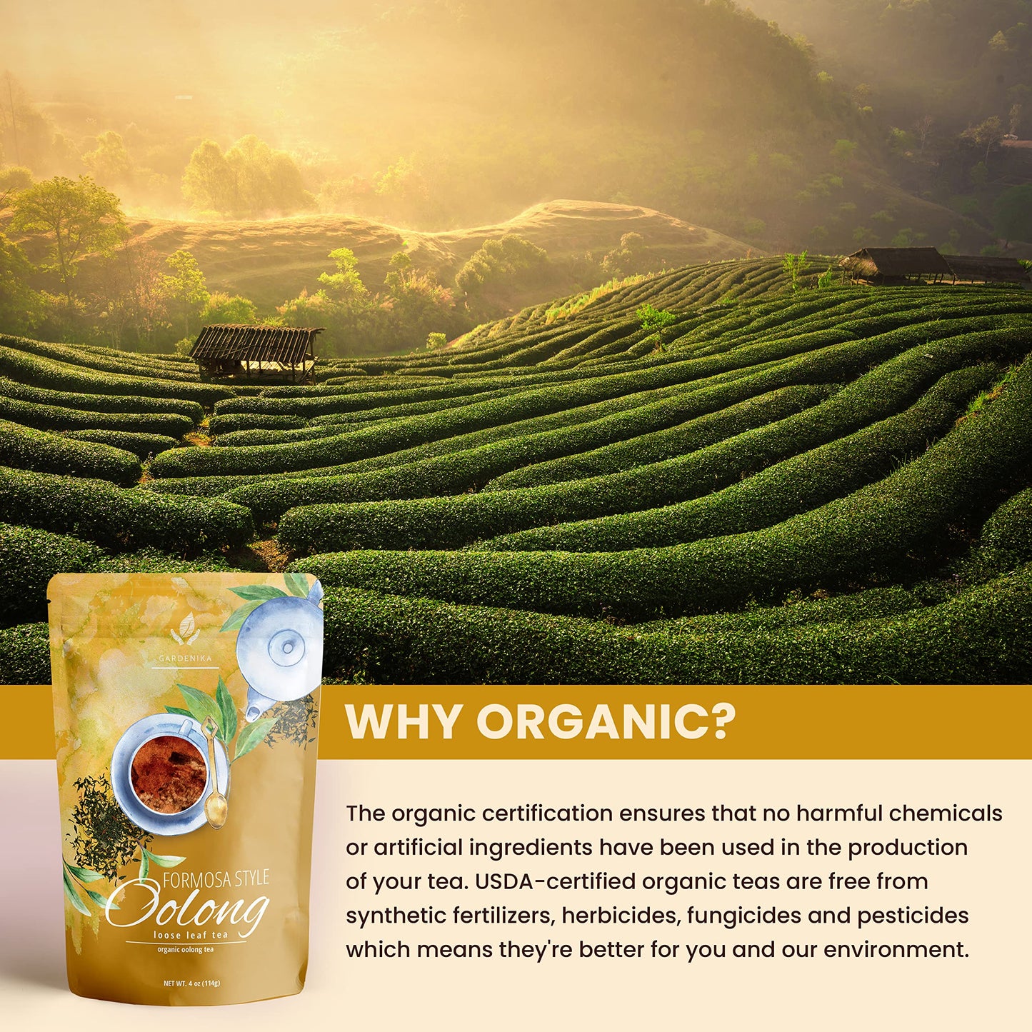 Gardenika Oolong Tea, Loose Leaf, Organic, KSA Kosher - 4 oz (1 Pack)