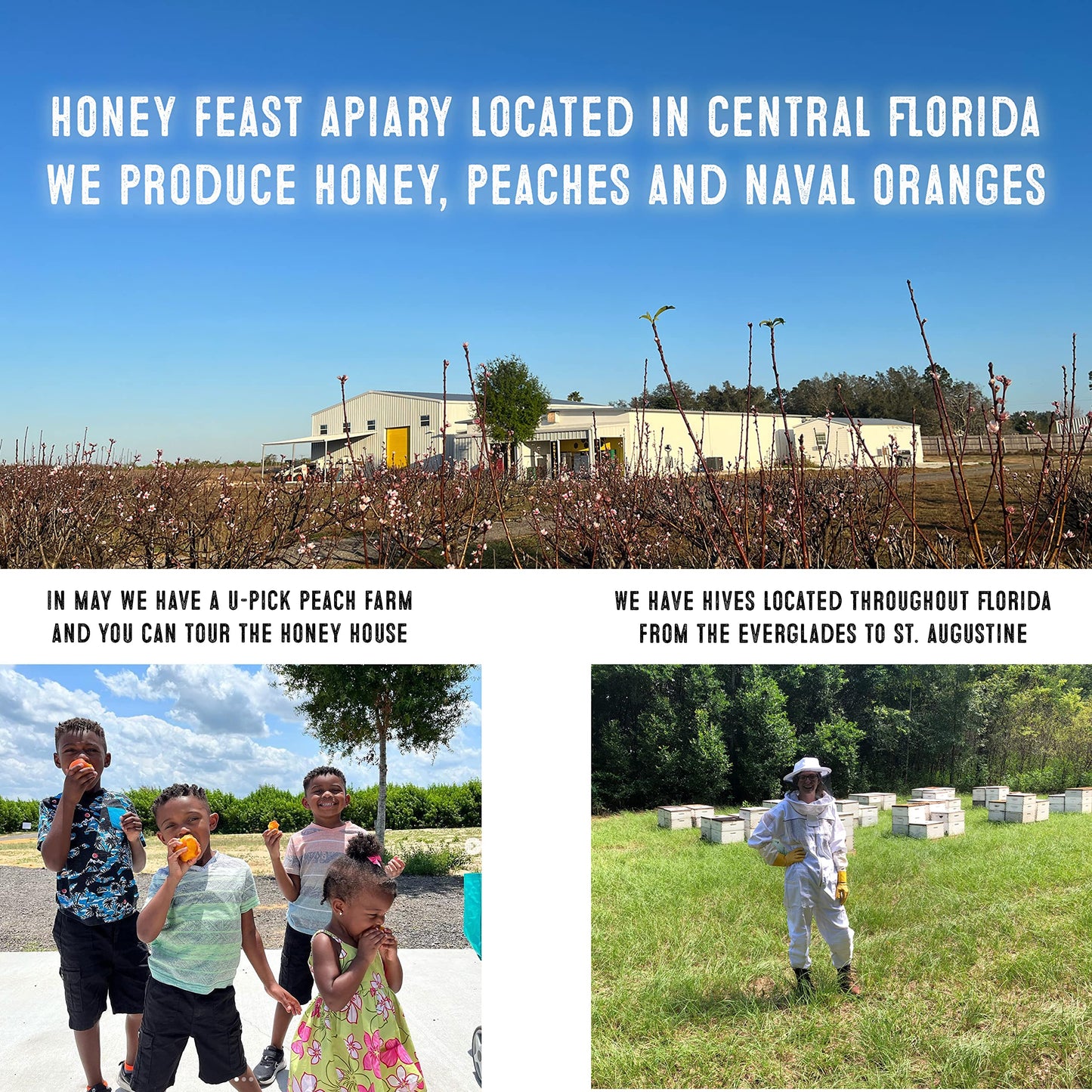 Honey Feast Organic Cinnamon Honey - Raw And Cold Packed - 12 Ounces - Small Batch Beekeeper Honey