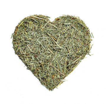 Super Value Pack 5 LB - Organic Horsetail Herb Bulk (Equisetum arvense) - Loose Dried Horsetail Grass for Beauty and Wellness
