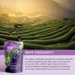 Earl Grey Lavender Tea, Black Tea with Bergamot - Organic & Kosher