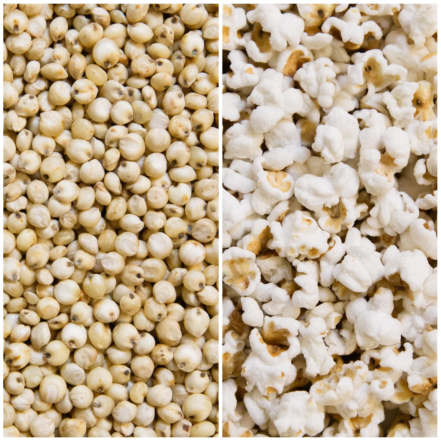 Nature Nate   S Popped Sorghum, Variety Multi Pack - Organic, Keto & Gluten Free, Healthy Snacks, Better Than Popcorn, Made In U
