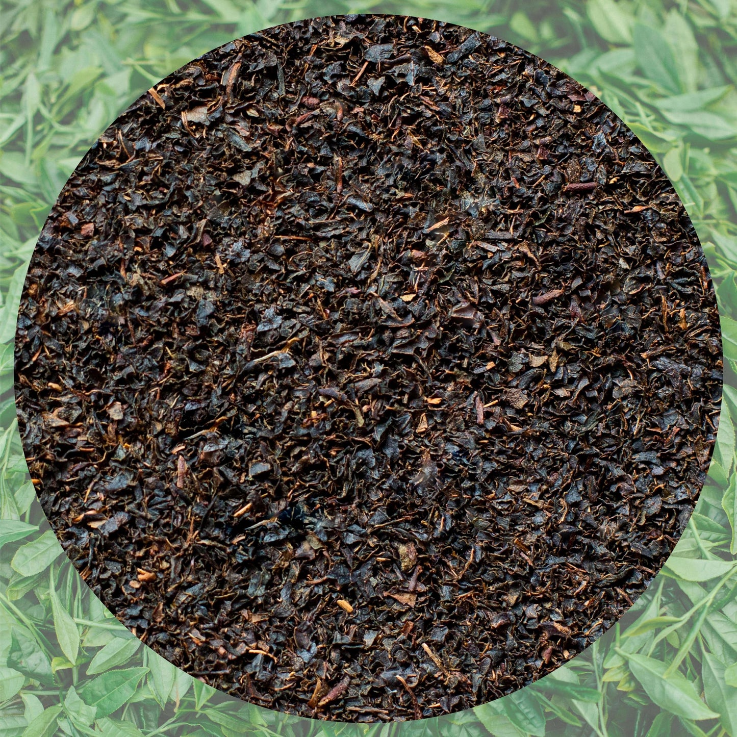 Lazika Black Tea, Loose Leaf Tea, 14.1 Oz, English Breakfast Tea, Tea Gift For Tea Lovers With Gift Pack