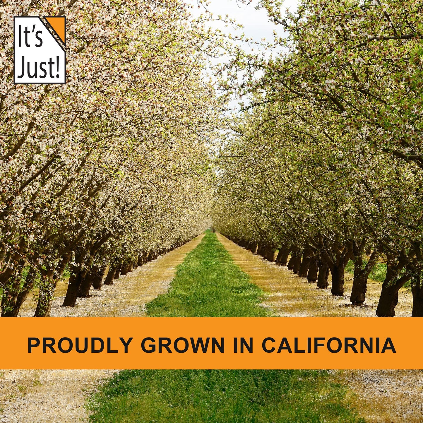 It'S Just - Raw Whole Almonds, Grown In California, 32Oz (2Lbs), Unsalted, Premium Quality, Supreme Grade, Naturally Semi Sweet,