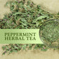 Constellation Tea Peppermint Herbal Tea Pods Compatible with K Cup malt-inspired, 40 Count
