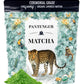 Pantenger Organic Ceremonial Grade Matcha - First Harvest, Hand Picked, Stone Milled, 1 Ounce