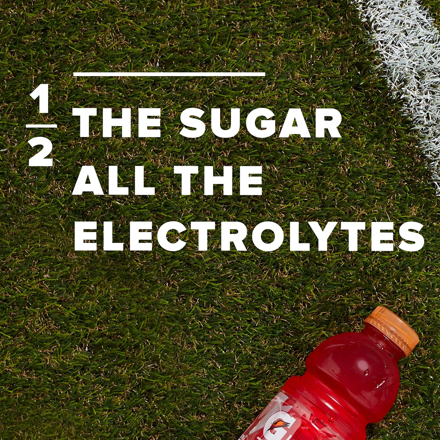 Gatorade G2 Thirst Quencher, Lower Sugar, Fruit Punch, 12 Fl Oz Bottles, Pack of 24 - Refreshing Hydration Solution