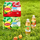 Lipton Diet Green Tea Citrus, 16.9 Fl Oz Bottles (Pack Of 12)