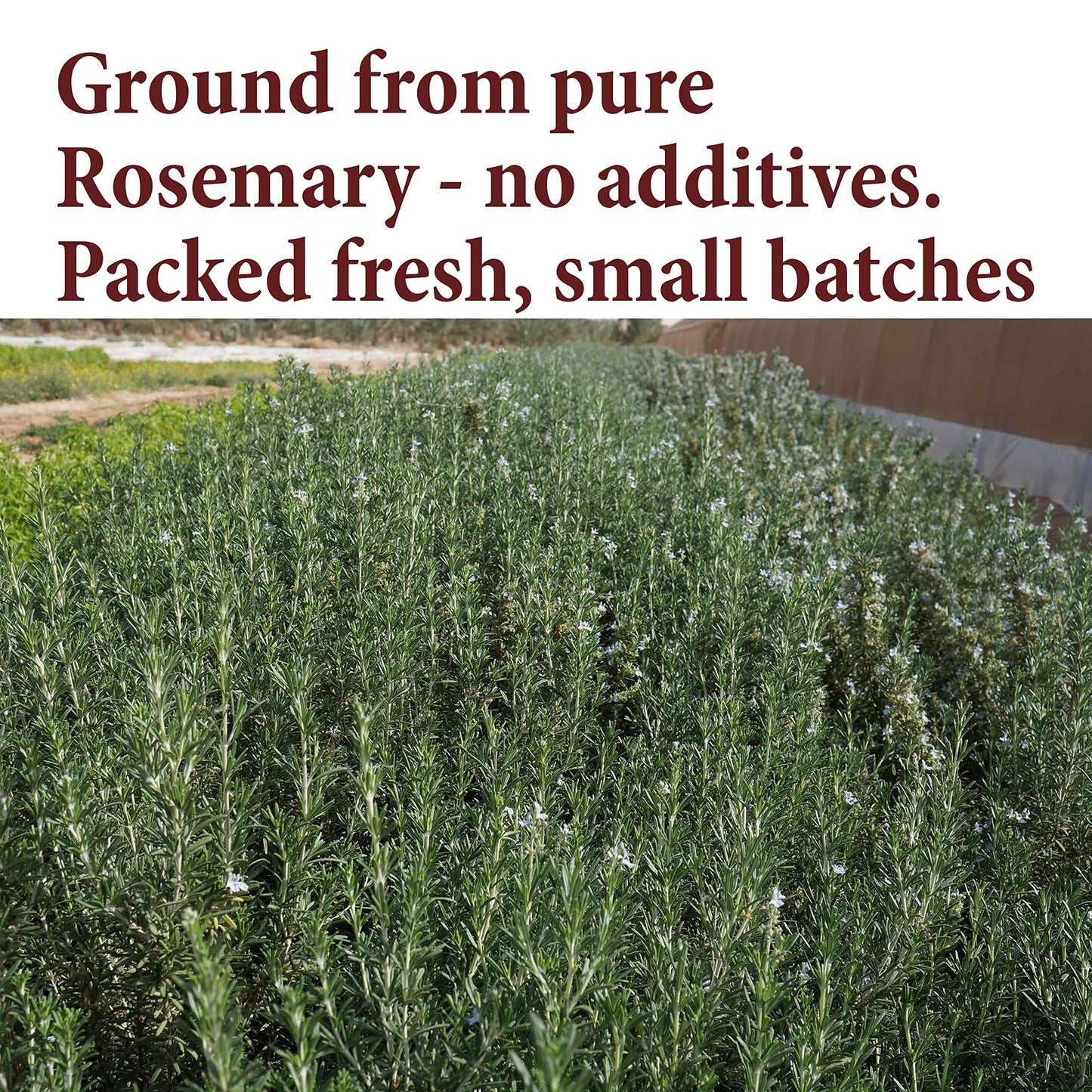 The Spice Way Ground Rosemary - Rosemary Powder Ground Pure From Rosemary Leaves - 4 Oz Resealable Bag