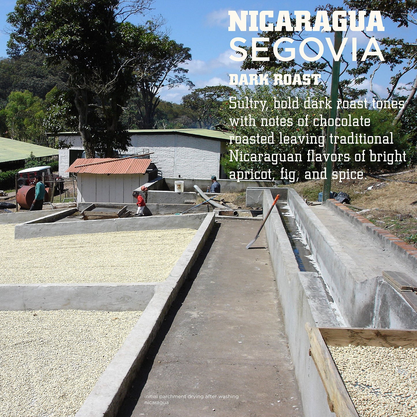 Tiny Footprint Coffee - Nicaragua Segovia, Dark Roast, USDA Organic Coffee - Shade Grown, Fair Trade Certified & Carbon Negative