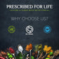 Prescribed For Life Organic Sodium Bicarbonate Powder, Aluminum Free, USP Grade, 1 kg (2.2 lb)