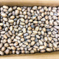 20 lbs - Texas Squirrel Pecans Inshell | Pecans.com | UNABLE TO SHIP INSHELL PECANS TO CALIFORNIA OR ARIZONA
