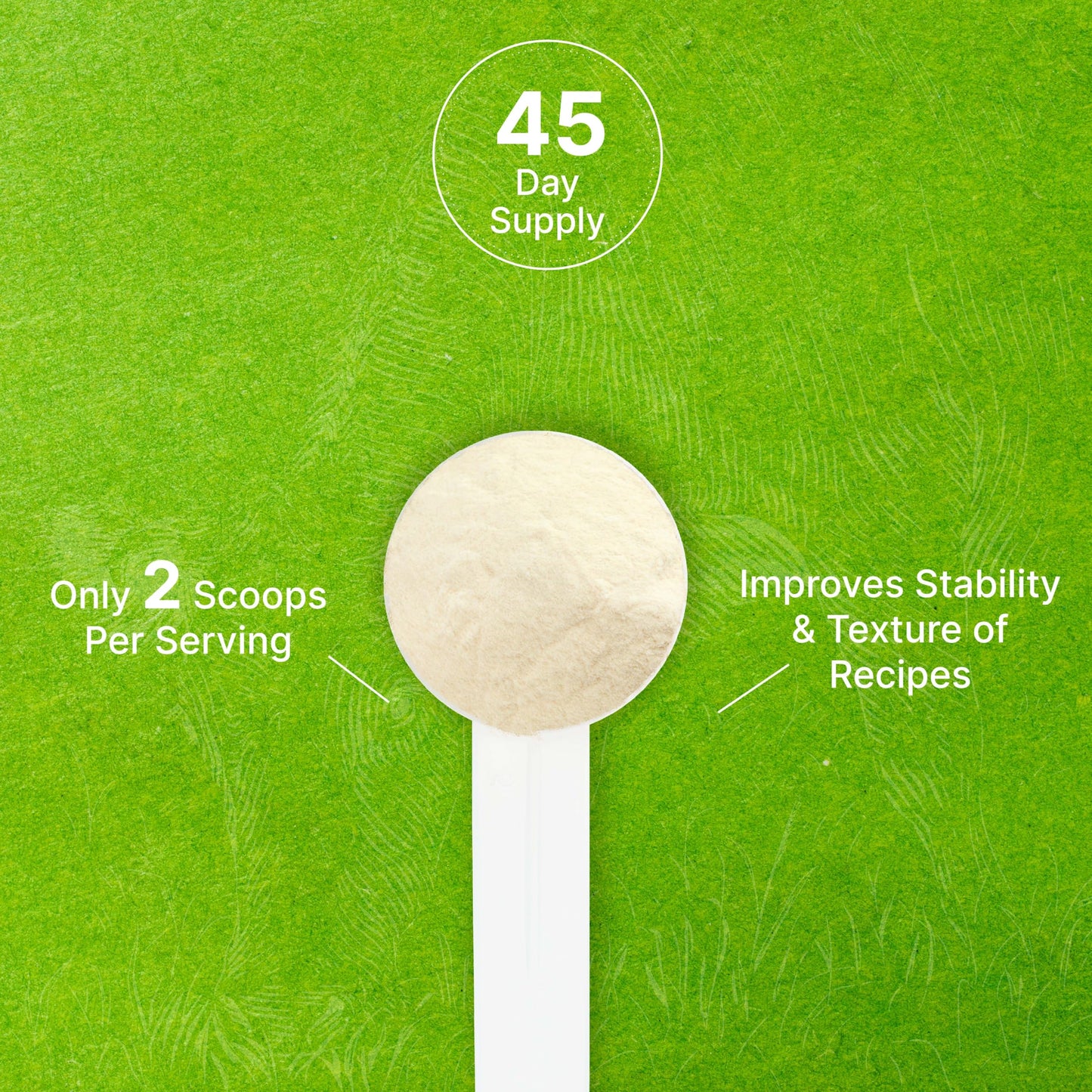 DEAL dietary product Unflavored Beef Gelatin Powder Natural Thickener 16 Ounce Non-GMO Keto Friendly
