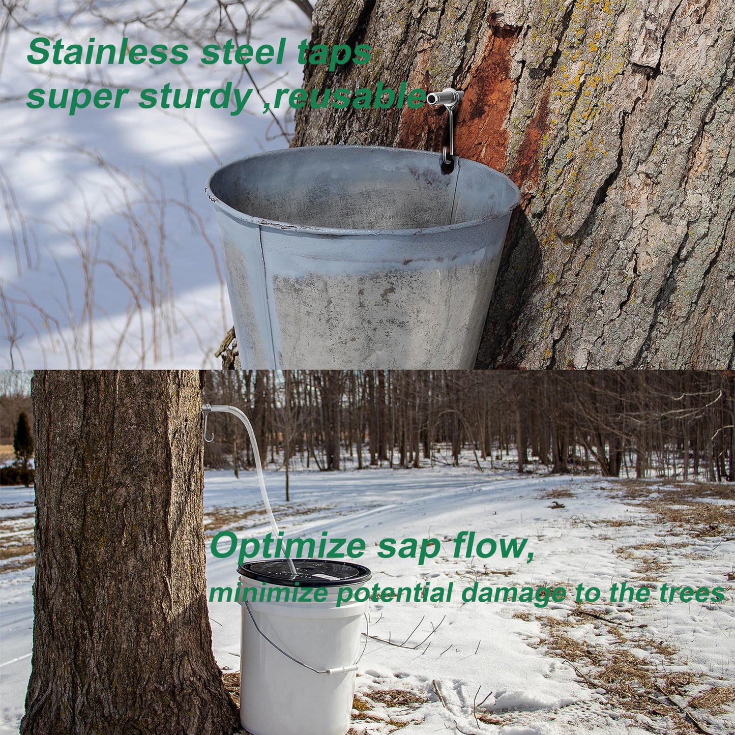Argconner Stainless Steel Maple Syrup Taps Kit, Spiles For Tapping Trees, 3 Spiles And Hooks With 1 Spile Cleaning Brush