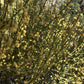 Mormon Tea - Brigham Tea - Ephedra | Usa Wildcrafted 1/4Lb Dried Subalpine