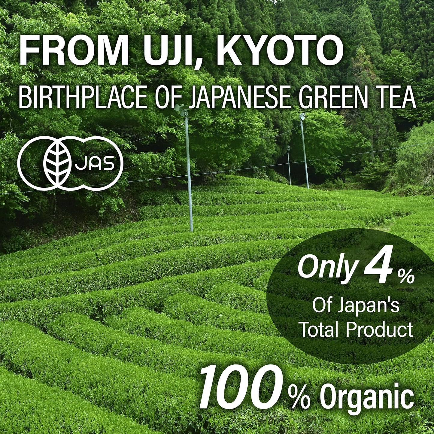 Yamasan Kyoto Uji Hojicha Tea, Roasted Green Tea, Low Caffeine, Jas Certified Organic, Japanese Tea, 150G Bag
