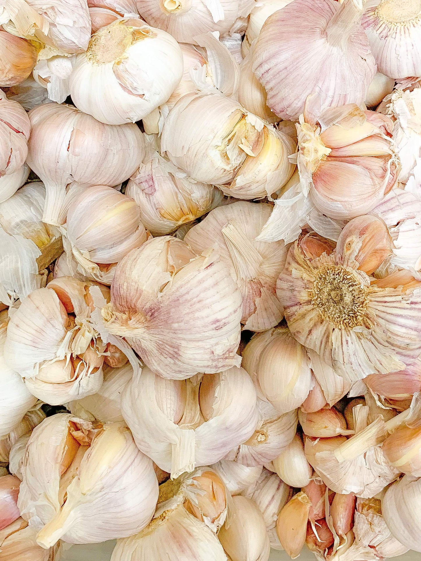 Fresh Garlic Cloves ( Imperfect Bulbs ) - 2 Lb