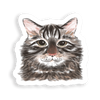 Albert Sticker