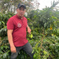 Pacamara - Natural