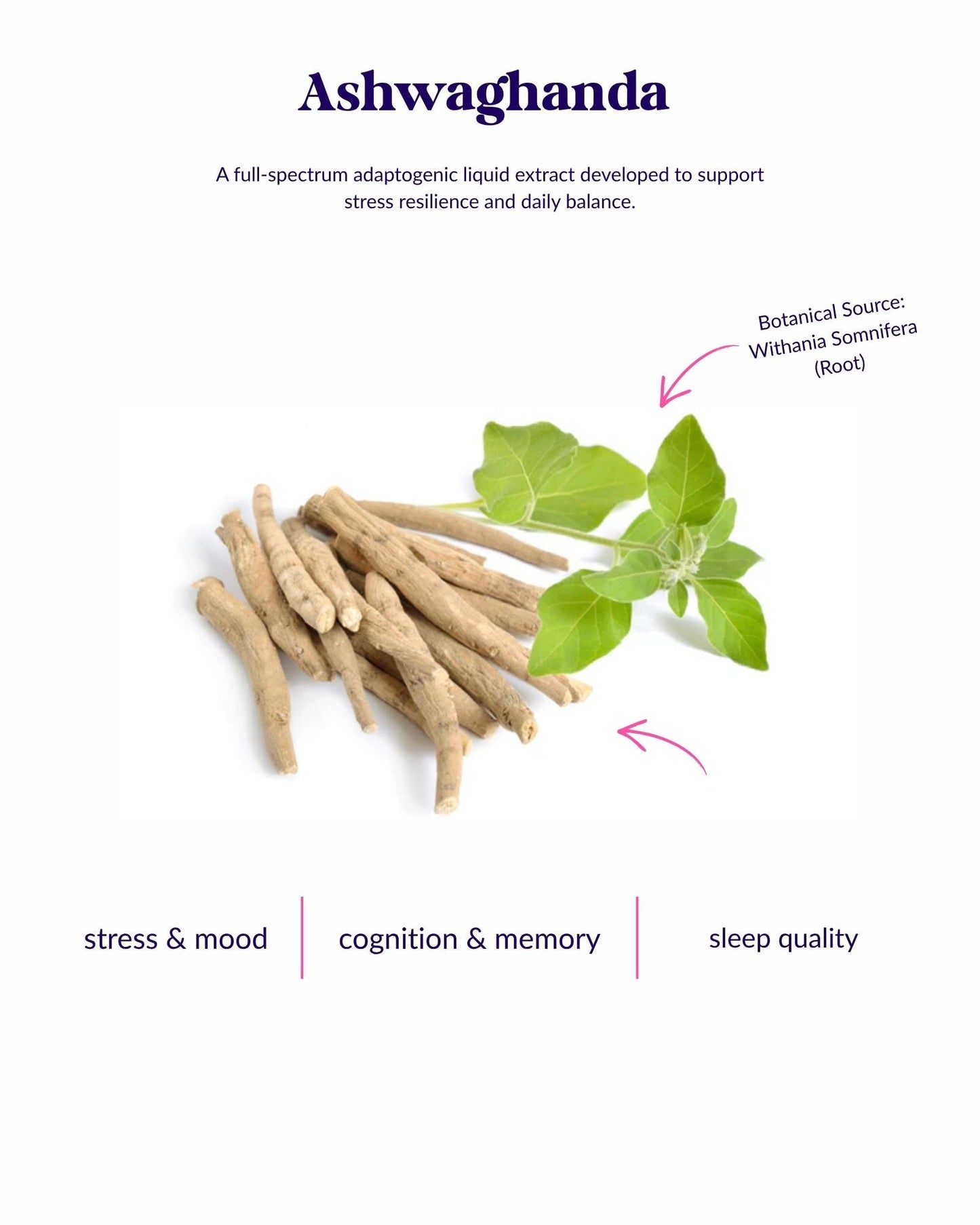 Organic Ashwaganda WellDrops Tincture