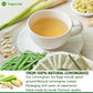 FreshDrinkUS Morning Vitality Digest & Detox Mix, Fennel, Ginger & Lemongrass Herbal Tea Bags Bundle, 100% Natural & Pure Seeds and Leaves, No Sugar, No Caffeine, No Gluten, Vegan, Biodegradable Tea Bags, Hand-Made Process – Herbal Beverage
